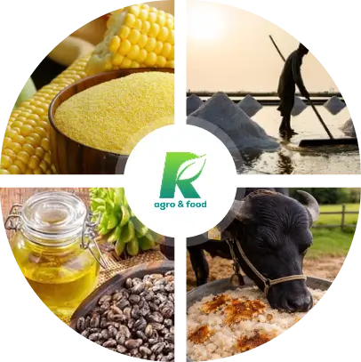 RK-agro-home-about-image